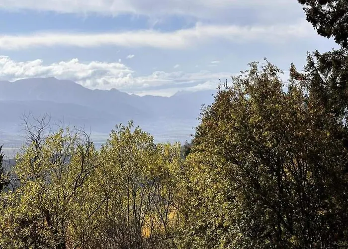 In Filzsteinalpe Near Slopes *